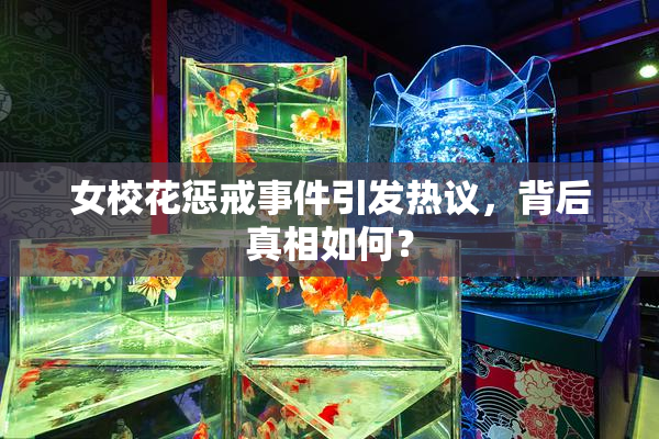 女校花惩戒事件引发热议，背后真相如何？