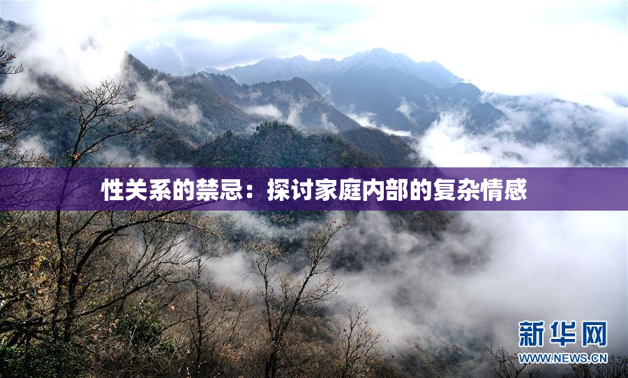 性关系的禁忌：探讨家庭内部的复杂情感