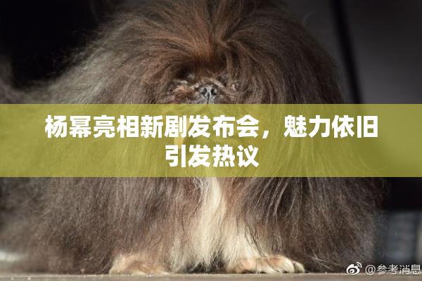 杨幂亮相新剧发布会，魅力依旧引发热议