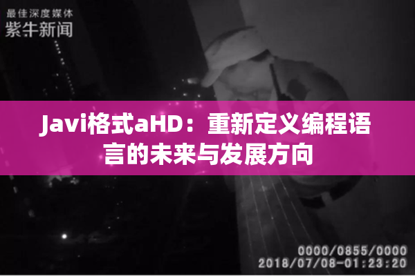 Javi格式aHD：重新定义编程语言的未来与发展方向