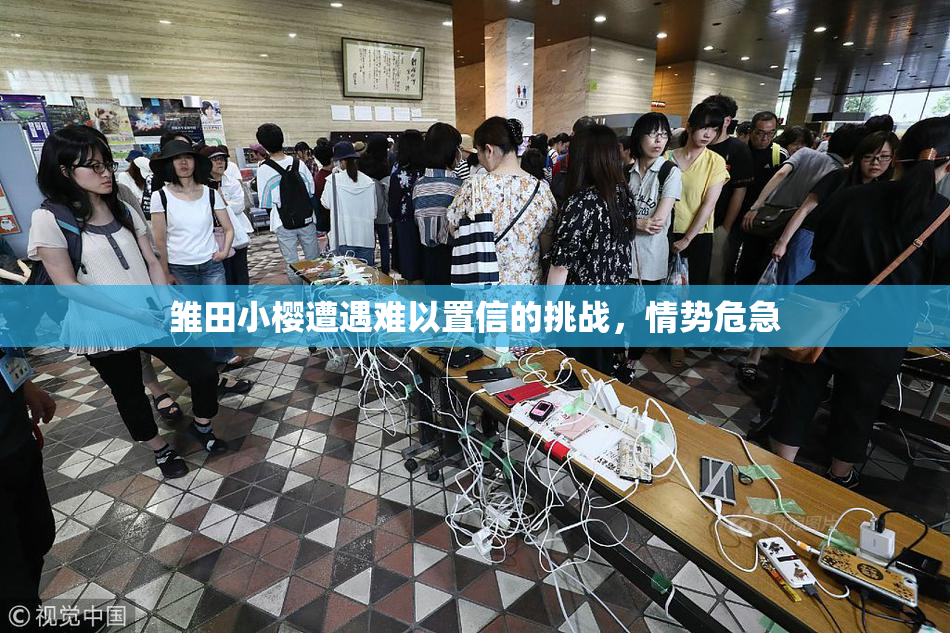 雏田小樱遭遇难以置信的挑战，情势危急