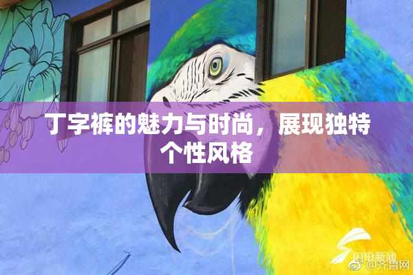 丁字裤的魅力与时尚，展现独特个性风格