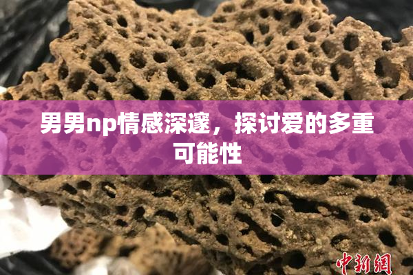 男男np情感深邃，探讨爱的多重可能性