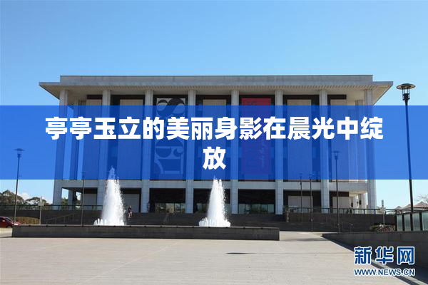 亭亭玉立的美丽身影在晨光中绽放