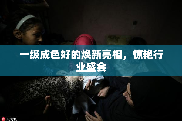 一级成色好的焕新亮相，惊艳行业盛会