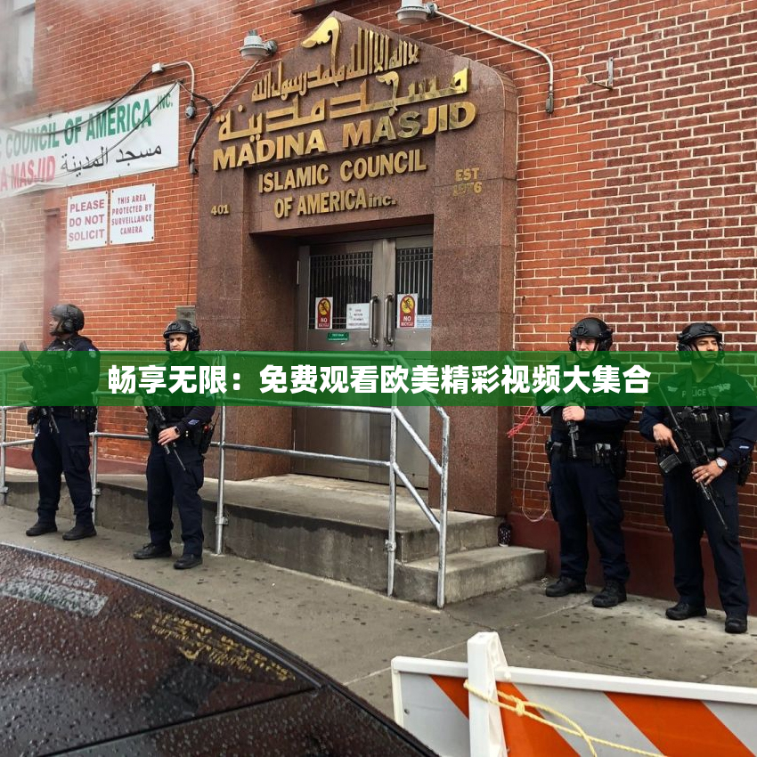 畅享无限：免费观看欧美精彩视频大集合