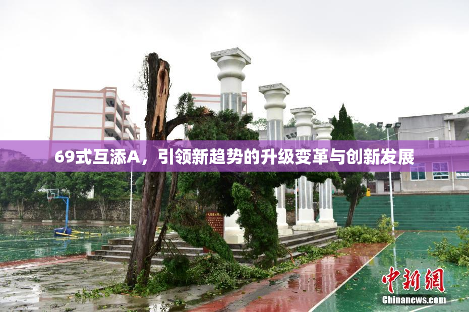 69式互添A，引领新趋势的升级变革与创新发展