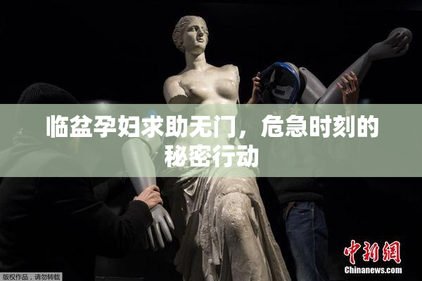 临盆孕妇求助无门，危急时刻的秘密行动