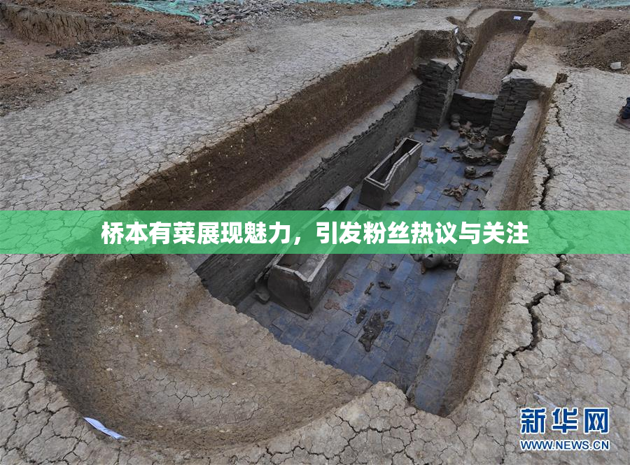 桥本有菜展现魅力，引发粉丝热议与关注
