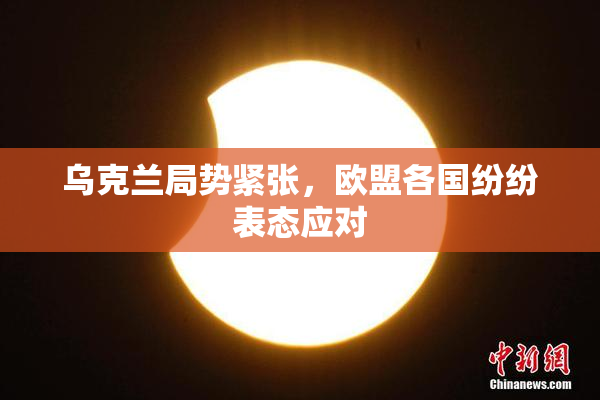 乌克兰局势紧张，欧盟各国纷纷表态应对