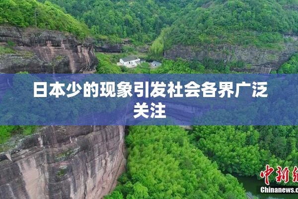 日本少的现象引发社会各界广泛关注