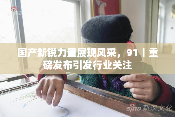 国产新锐力量展现风采，91丨重磅发布引发行业关注