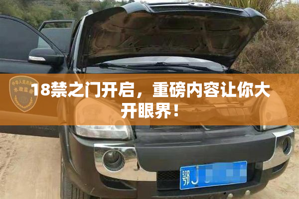 18禁之门开启，重磅内容让你大开眼界！
