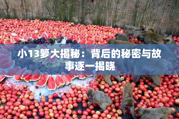 小13箩大揭秘：背后的秘密与故事逐一揭晓