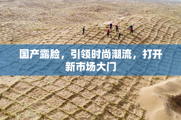 国产露脸，引领时尚潮流，打开新市场大门