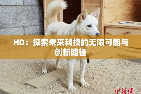 HD：探索未来科技的无限可能与创新路径