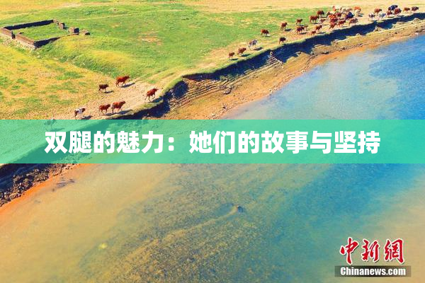 双腿的魅力：她们的故事与坚持