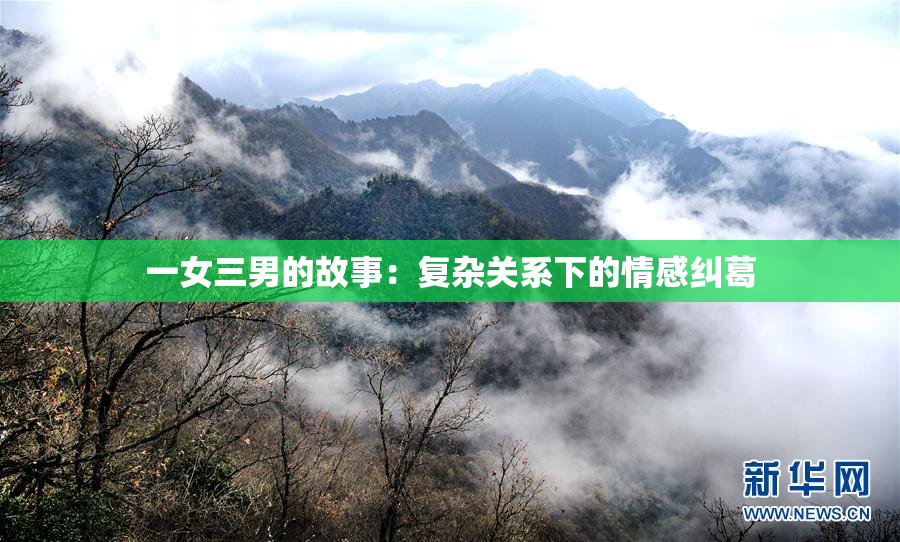 一女三男的故事：复杂关系下的情感纠葛