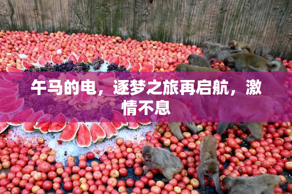 午马的电，逐梦之旅再启航，激情不息