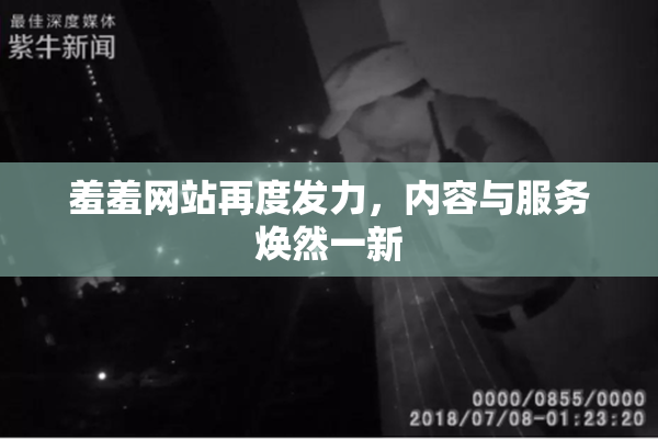 羞羞网站再度发力，内容与服务焕然一新