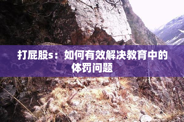 打屁股s：如何有效解决教育中的体罚问题
