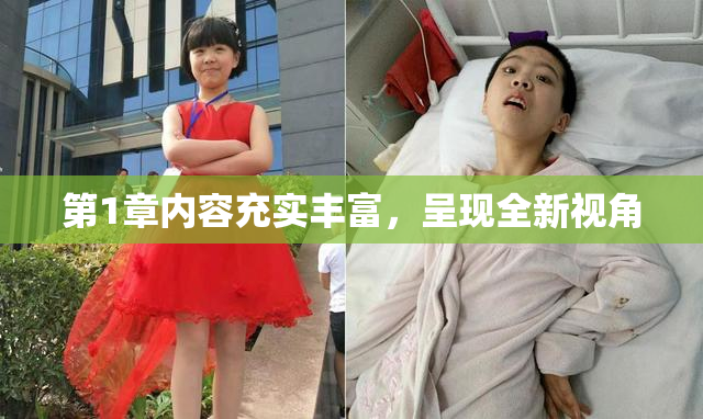 第1章内容充实丰富，呈现全新视角