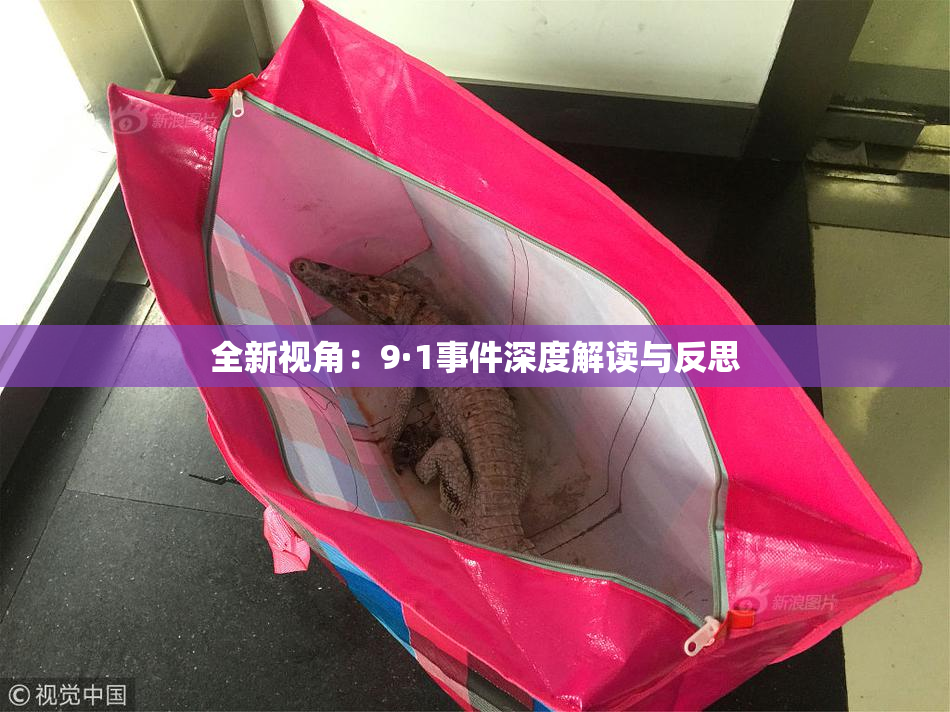 全新视角：9·1事件深度解读与反思