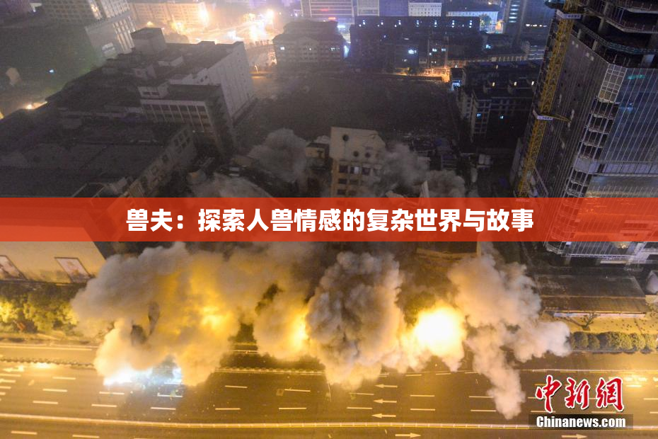 兽夫：探索人兽情感的复杂世界与故事