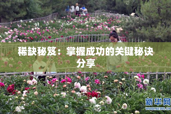稀缺秘笈：掌握成功的关键秘诀分享