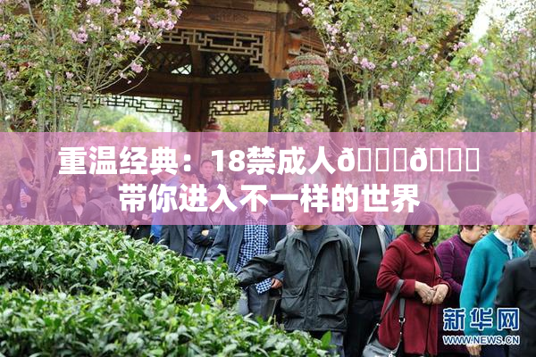 重温经典：18禁成人🍆🍑带你进入不一样的世界