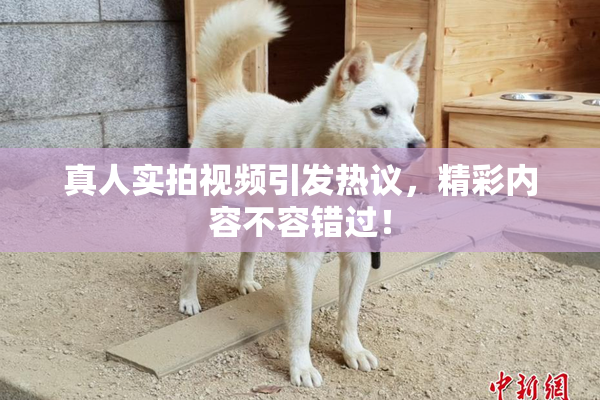 真人实拍视频引发热议，精彩内容不容错过！