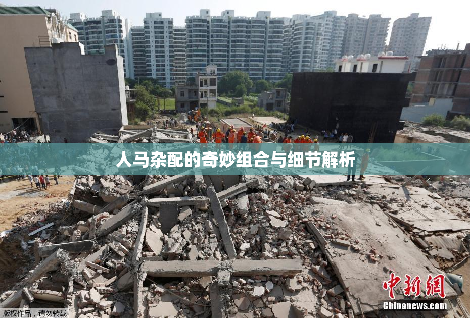 人马杂配的奇妙组合与细节解析