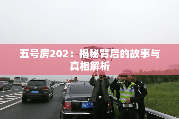 五号房202：揭秘背后的故事与真相解析