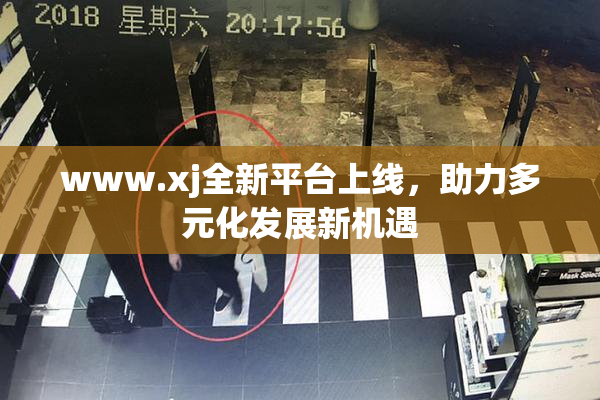 www.xj全新平台上线，助力多元化发展新机遇