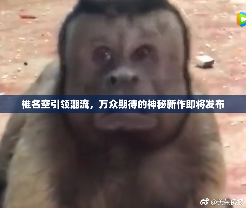 椎名空引领潮流，万众期待的神秘新作即将发布