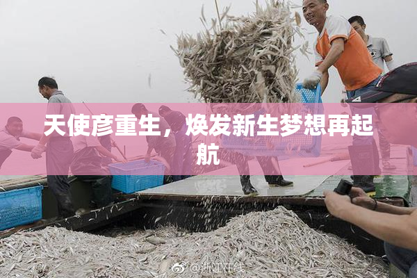 天使彦重生，焕发新生梦想再起航