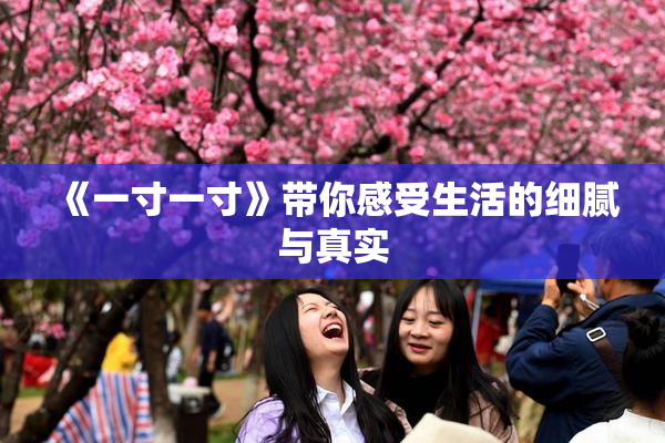 《一寸一寸》带你感受生活的细腻与真实