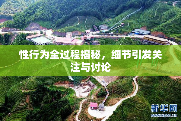 性行为全过程揭秘，细节引发关注与讨论