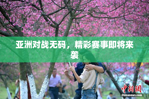 亚洲对战无码，精彩赛事即将来袭