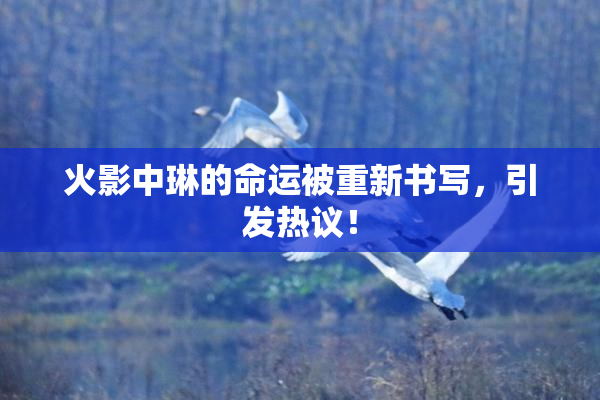 火影中琳的命运被重新书写，引发热议！