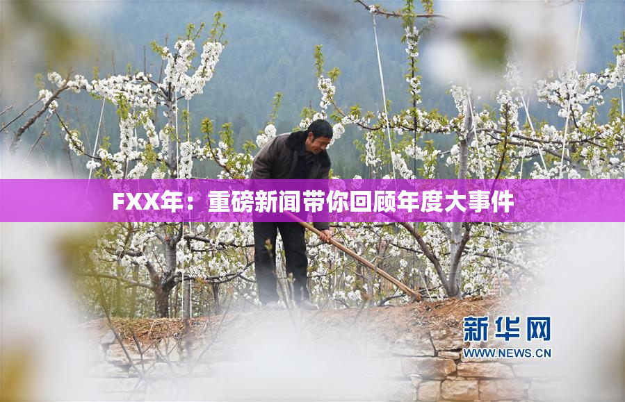 FXX年：重磅新闻带你回顾年度大事件