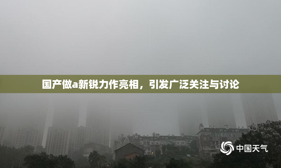 国产做a新锐力作亮相，引发广泛关注与讨论