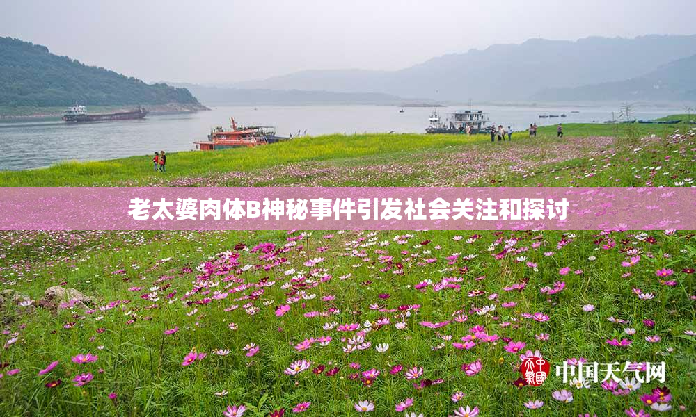 老太婆肉体B神秘事件引发社会关注和探讨