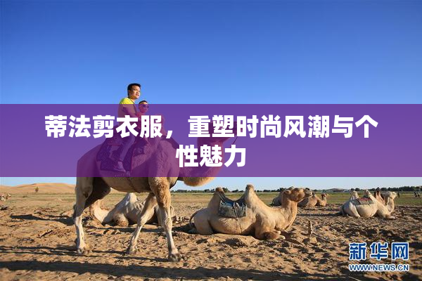 蒂法剪衣服，重塑时尚风潮与个性魅力