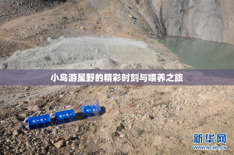 小鸟游星野的精彩时刻与喂养之旅