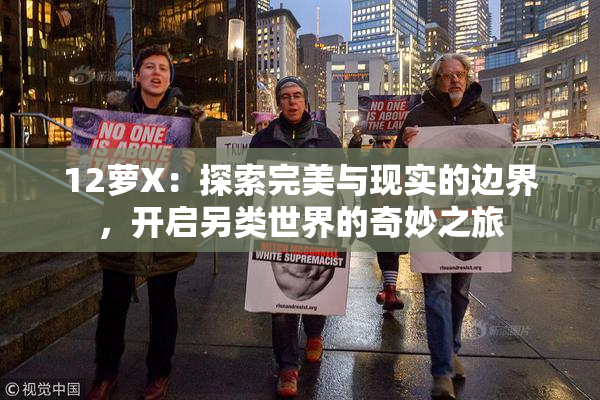 12萝X：探索完美与现实的边界，开启另类世界的奇妙之旅