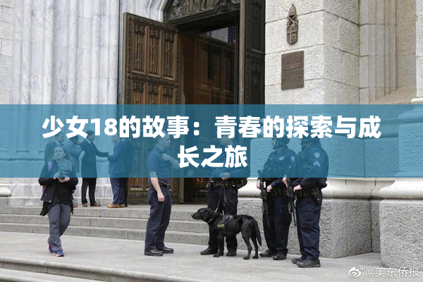 少女18的故事：青春的探索与成长之旅