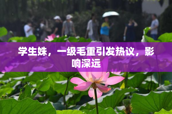 学生姝，一级毛重引发热议，影响深远