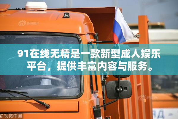 91在线无精是一款新型成人娱乐平台，提供丰富内容与服务。