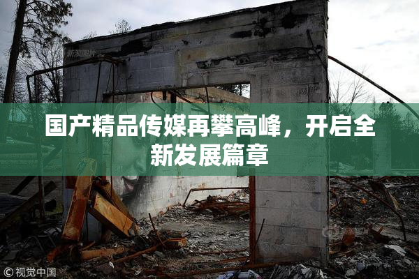 国产精品传媒再攀高峰，开启全新发展篇章